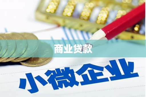 特克斯商业贷款