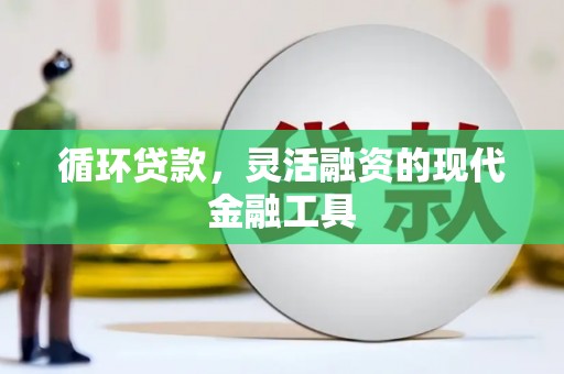 特克斯循环贷款，灵活融资的现代金融工具