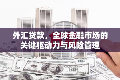 特克斯外汇贷款，全球金融市场的关键驱动力与风险管理