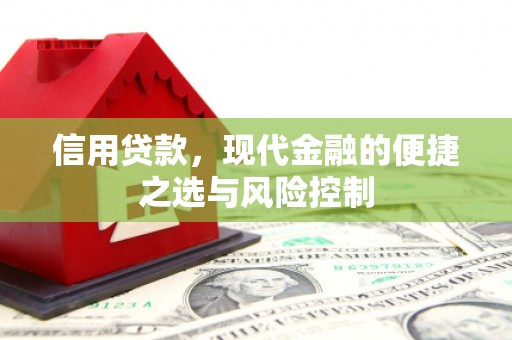 特克斯信用贷款，现代金融的便捷之选与风险控制