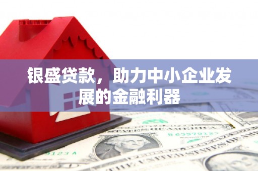 特克斯银盛贷款，助力中小企业发展的金融利器