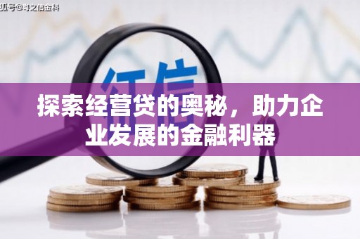 特克斯探索经营贷的奥秘，助力企业发展的金融利器
