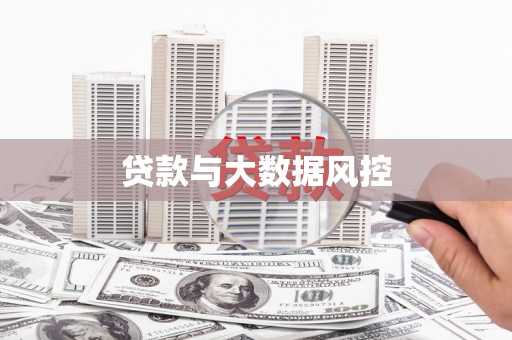 特克斯贷款与大数据风控