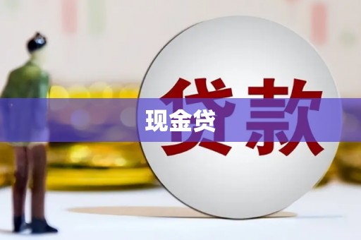 特克斯现金贷