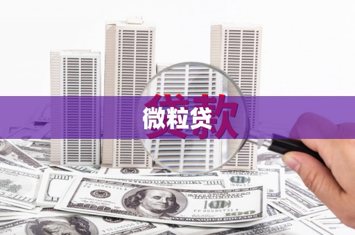 特克斯微粒贷