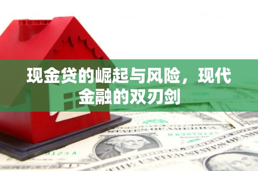 特克斯现金贷的崛起与风险，现代金融的双刃剑