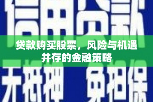 特克斯贷款购买股票，风险与机遇并存的金融策略