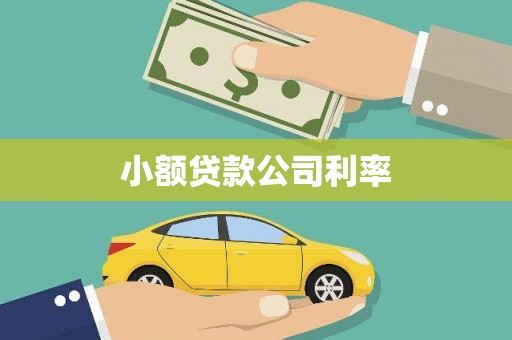 特克斯小额贷款公司利率