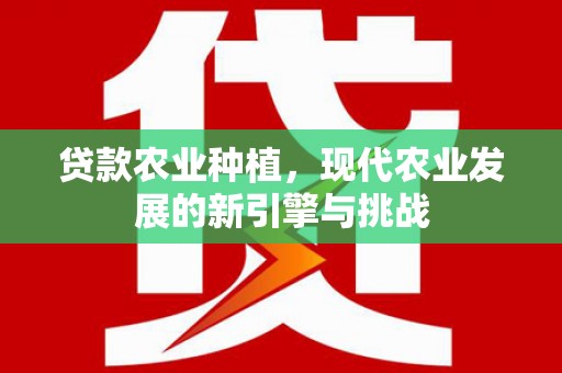 特克斯贷款农业种植，现代农业发展的新引擎与挑战