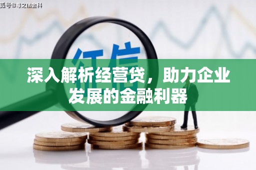 特克斯深入解析经营贷，助力企业发展的金融利器