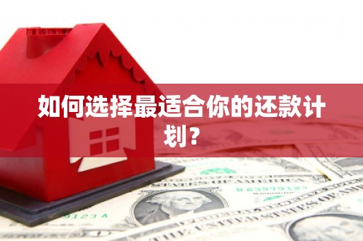 特克斯如何选择最适合你的还款计划？
