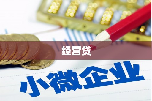 特克斯经营贷
