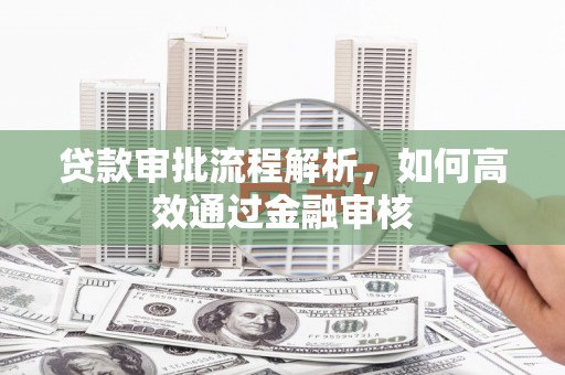 特克斯贷款审批流程解析，如何高效通过金融审核