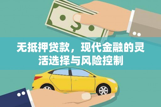 特克斯无抵押贷款，现代金融的灵活选择与风险控制
