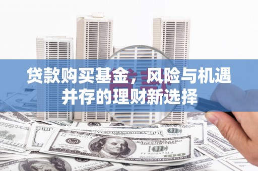特克斯贷款购买基金，风险与机遇并存的理财新选择