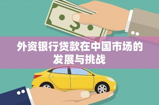 特克斯外资银行贷款在中国市场的发展与挑战