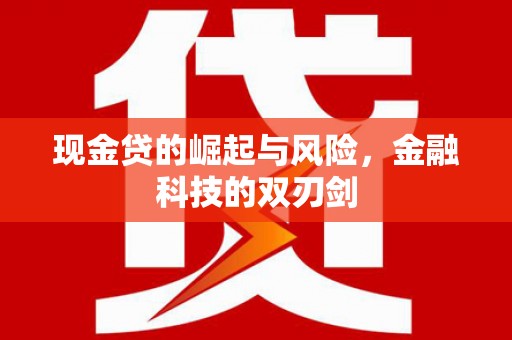 特克斯现金贷的崛起与风险，金融科技的双刃剑