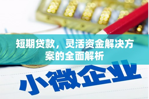 特克斯短期贷款，灵活资金解决方案的全面解析