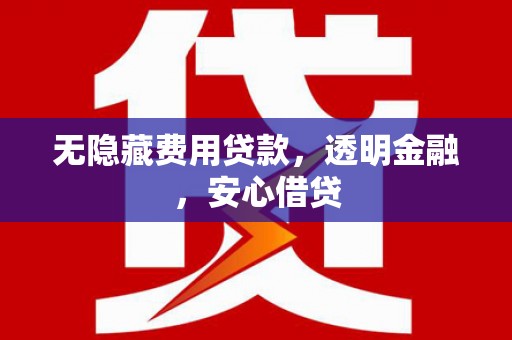 特克斯无隐藏费用贷款，透明金融，安心借贷