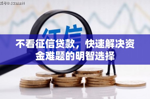 特克斯不看征信贷款，快速解决资金难题的明智选择