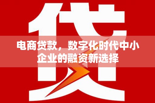 特克斯电商贷款，数字化时代中小企业的融资新选择