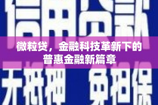 特克斯微粒贷，金融科技革新下的普惠金融新篇章