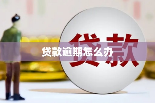 特克斯贷款逾期怎么办