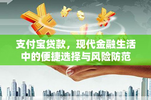 特克斯支付宝贷款，现代金融生活中的便捷选择与风险防范