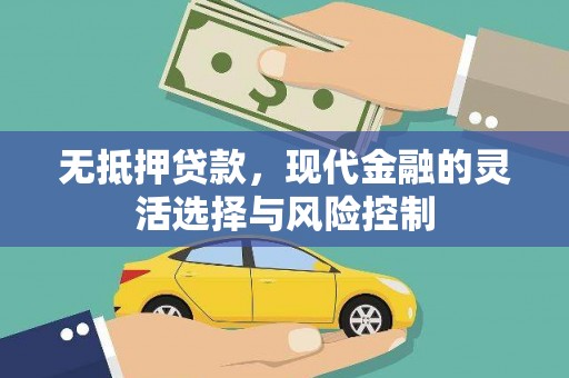 特克斯无抵押贷款，现代金融的灵活选择与风险控制