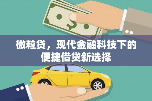 特克斯微粒贷，现代金融科技下的便捷借贷新选择