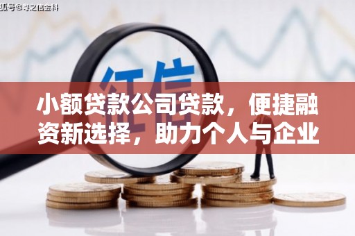 特克斯小额贷款公司贷款，便捷融资新选择，助力个人与企业成长