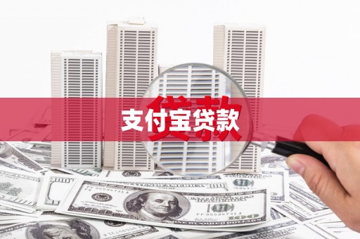 特克斯支付宝贷款