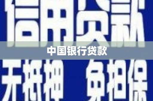 特克斯中国银行贷款