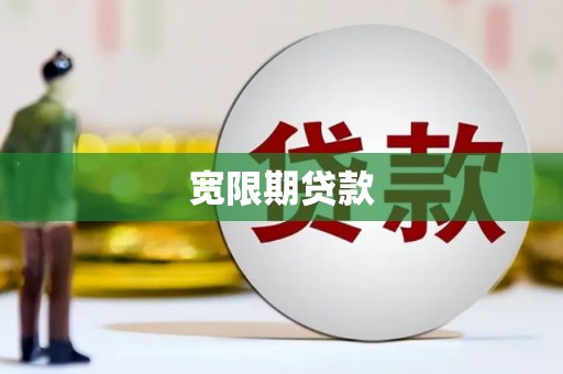 特克斯宽限期贷款