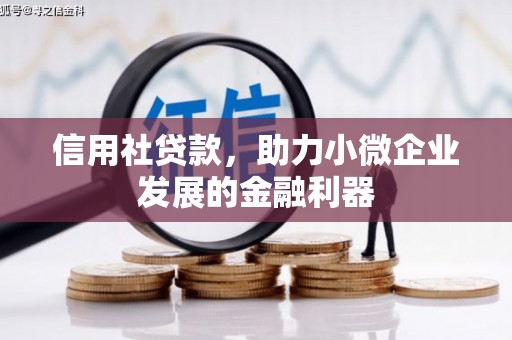 特克斯信用社贷款，助力小微企业发展的金融利器