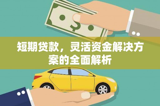 特克斯短期贷款，灵活资金解决方案的全面解析