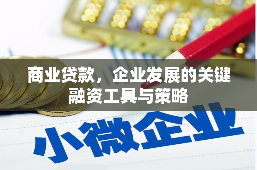 特克斯商业贷款，企业发展的关键融资工具与策略