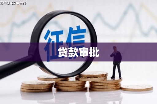 特克斯贷款审批
