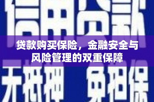 特克斯贷款购买保险，金融安全与风险管理的双重保障