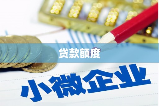 特克斯贷款额度