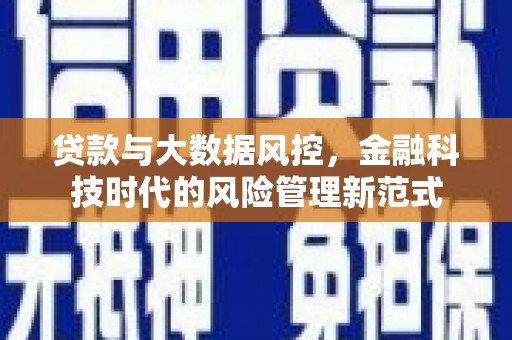 特克斯贷款与大数据风控，金融科技时代的风险管理新范式