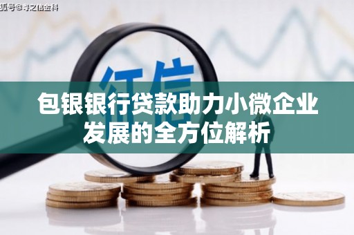 特克斯包银银行贷款助力小微企业发展的全方位解析
