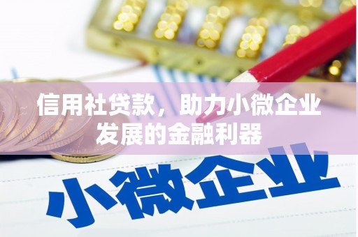 特克斯信用社贷款，助力小微企业发展的金融利器