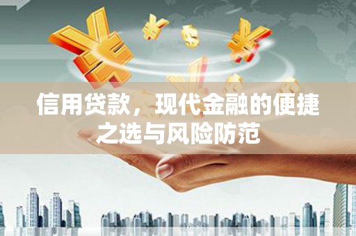特克斯信用贷款，现代金融的便捷之选与风险防范