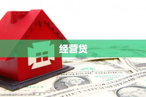 特克斯经营贷