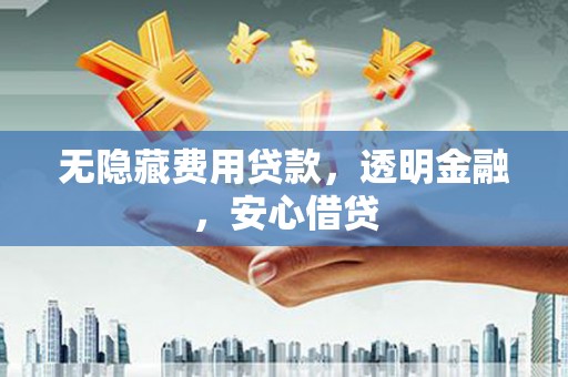 特克斯无隐藏费用贷款，透明金融，安心借贷