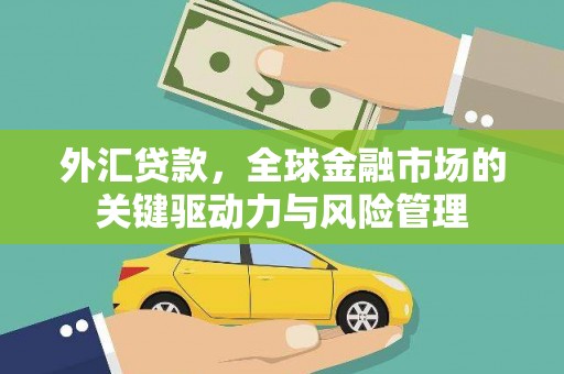特克斯外汇贷款，全球金融市场的关键驱动力与风险管理