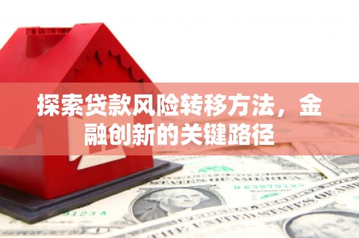 特克斯探索贷款风险转移方法，金融创新的关键路径