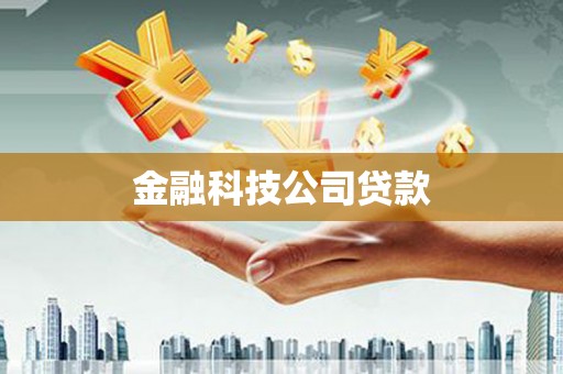 特克斯金融科技公司贷款