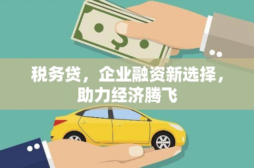 特克斯税务贷，企业融资新选择，助力经济腾飞